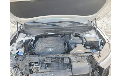 Hyundai Palisade 3.8L 6 Front-wheel Drive - автомобили, коли, обяви за нови и употребявани 12