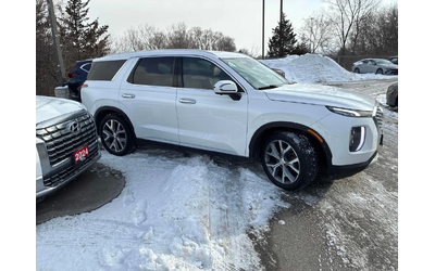 hyundai-palisade - 2