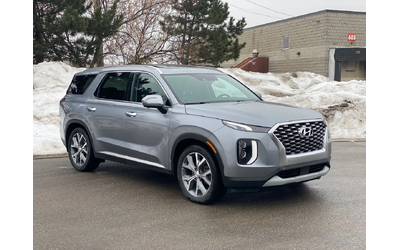 hyundai-palisade - 2