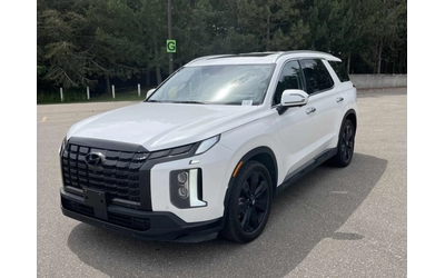 hyundai-palisade - 0