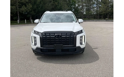 hyundai-palisade - 1