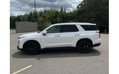 hyundai-palisade - 2