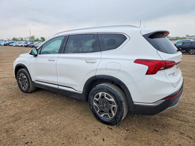 Hyundai Santa fe BLUE* AWD* ХИБРИД* ПОДГРЕВ - автомобили, коли, обяви за нови и употребявани 1
