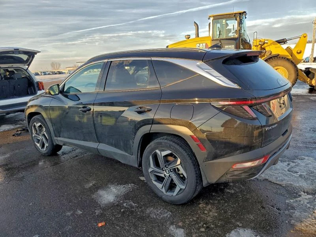 Hyundai Tucson LIMITED - автомобили, коли, обяви за нови и употребявани 5