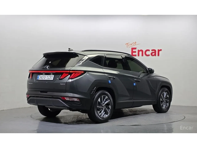 Hyundai Tucson HYBRID* ОБДУХВАНЕ* ДИГИТАЛ* - автомобили, коли, обяви за нови и употребявани 1