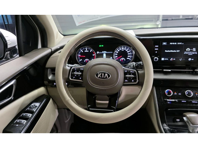 Kia Carnival - автомобили, коли, обяви за нови и употребявани 12