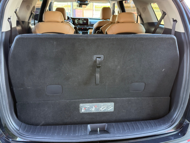 KIA Carnival - автомобили, коли, обяви за нови и употребявани 30