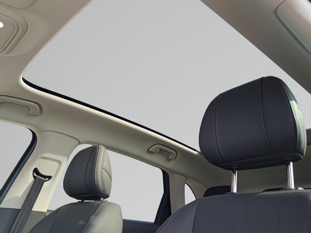 Leapmotor B10 - автомобили, коли, обяви за нови и употребявани 13