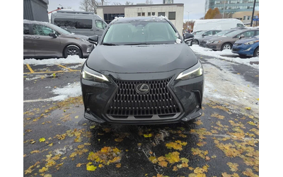 lexus-nx - 1