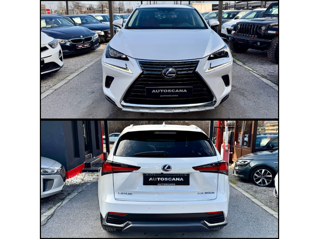 Lexus NX 300h LUXURY / CARTIER / НАЛИЧЕН - автомобили, коли, обяви за нови и употребявани 6