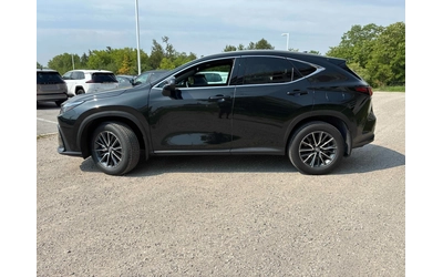 lexus-nx-350h - 2