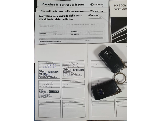 Lexus NX 300h/4WD/Premium - автомобили, коли, обяви за нови и употребявани 15