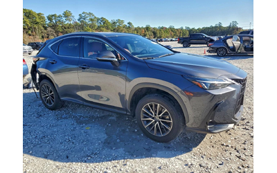 lexus-nx - 2