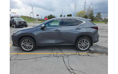 lexus-nx - 1