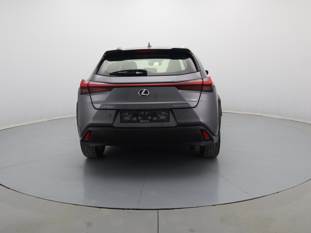 Lexus UX - автомобили, коли, обяви за нови и употребявани 19