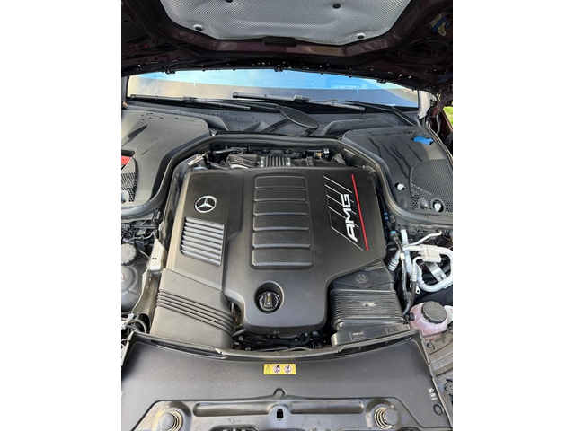 Mercedes-Benz AMG GT AMG GT 4-Door Coupe 53 EQ Boost 4MATIC+  - автомобили, коли, обяви за нови и употребявани 11