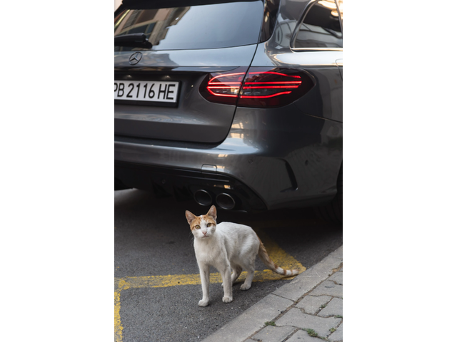 Mercedes-Benz C 43 AMG, 2019 г., 101000 км, 390 к.с. - автомобили, коли, обяви за нови и употребявани 12