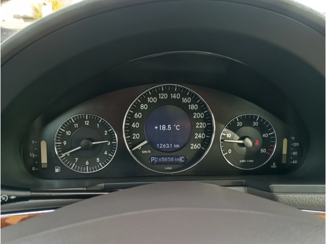 Mercedes-Benz E 320 Кожа, Италия - автомобили, коли, обяви за нови и употребявани 10