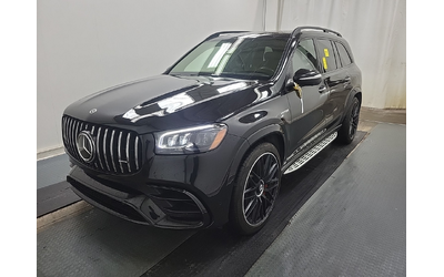 mercedes-benz-gls-4l-8cyl-awd - 0