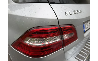 Mercedes-Benz ML 250 CDI - автомобили, коли, обяви за нови и употребявани 15