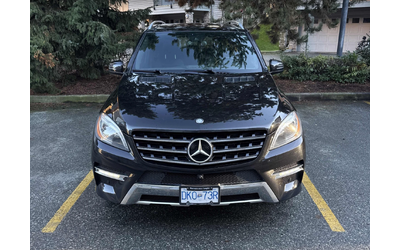 mercedes-benz-ml-350 - 1