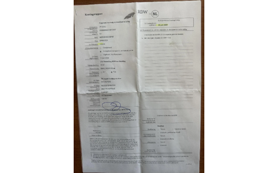 Mercedes-Benz Sprinter 516 - автомобили, коли, обяви за нови и употребявани 16