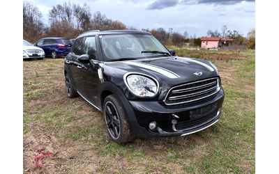 mini-countryman - 1