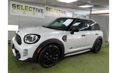 mini-countryman - 3