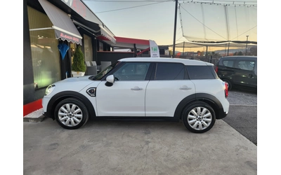 mini-countryman - 3