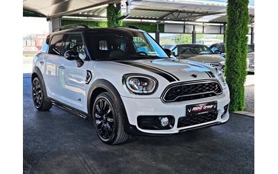 mini-countryman - 2