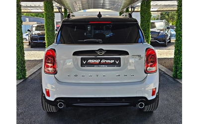 mini-countryman - 5