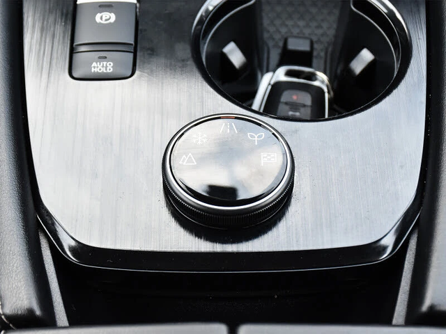 Nissan Rogue Platinum Edition* AWD* АвтоКредит* (ЦЕНА ДО БГ) - автомобили, коли, обяви за нови и употребявани 13