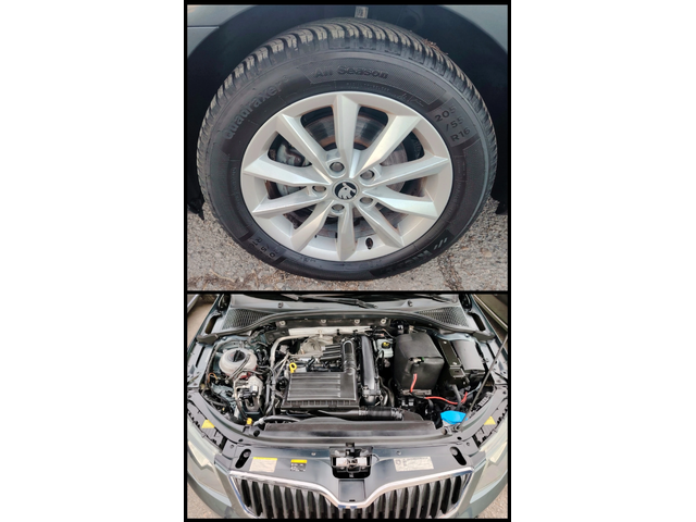 Skoda Octavia FEMILI - автомобили, коли, обяви за нови и употребявани 6