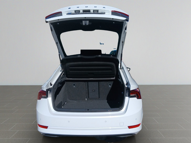 Skoda OCTAVIA Ambition - автомобили, коли, обяви за нови и употребявани 17