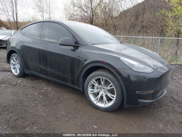 Tesla Model 3 Y - автомобили, коли, обяви за нови и употребявани 0