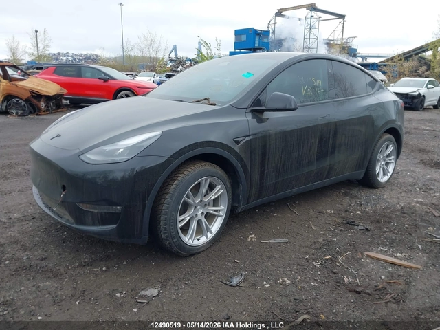 Tesla Model 3 Y - автомобили, коли, обяви за нови и употребявани 1