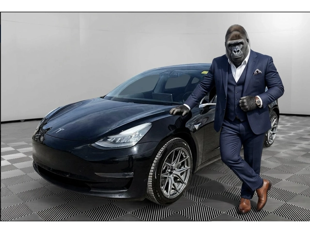 Tesla Model 3 DUAL MOTOR - автомобили, коли, обяви за нови и употребявани 0