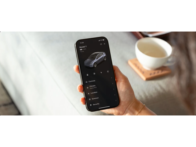 Tesla Model Y Premium Maximum Range AWD - БЪРЗА ДОСТАВКА - автомобили, коли, обяви за нови и употребявани 12