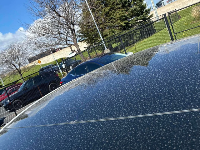 Tesla Model Y Long Range/FULL SELF DRIVING/360/ПАНОРАМА - автомобили, коли, обяви за нови и употребявани 10