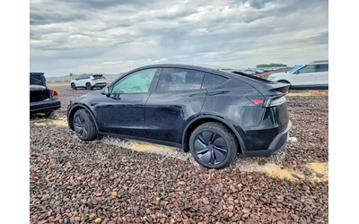 tesla-y-juniper - 1