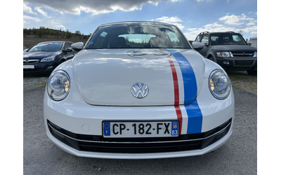 vw-beetle - 0