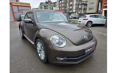 vw-beetle - 2