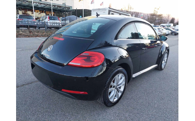 vw-beetle - 3