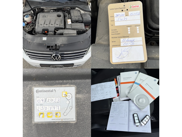 VW Passat 2.0 TDI / 4MOTION / NAVI / PARKTRONIC / AVTOPILOT - автомобили, коли, обяви за нови и употребявани 15